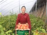 江苏邗江安平社区：构建“四位一体”机制 提升党建服务水平