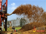 梁言顺在甘肃省组织部长会议上强调：认清大局大势聚焦重点任务扎实推进组织工作